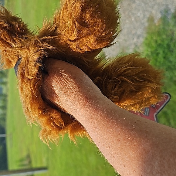 VTG 1988 ALF - Picture 8 of 13